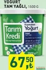 TARIM KREDİ YOĞURT TAM YAĞLI 1,5 KG fiyat ve kampanya bilgisi
